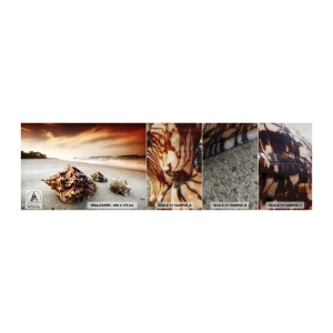 Photo Wallpaper Sample Premium Canvas - Expelled by Waves - Landscape, Sea, Seashell - 100x30 cm