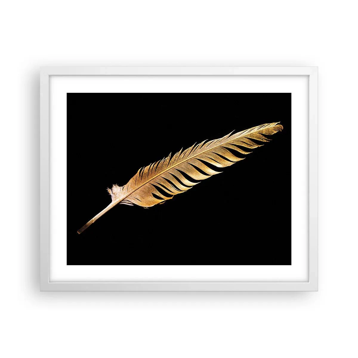 Poster in white frmae - High-Class Feather - 50x40 cm