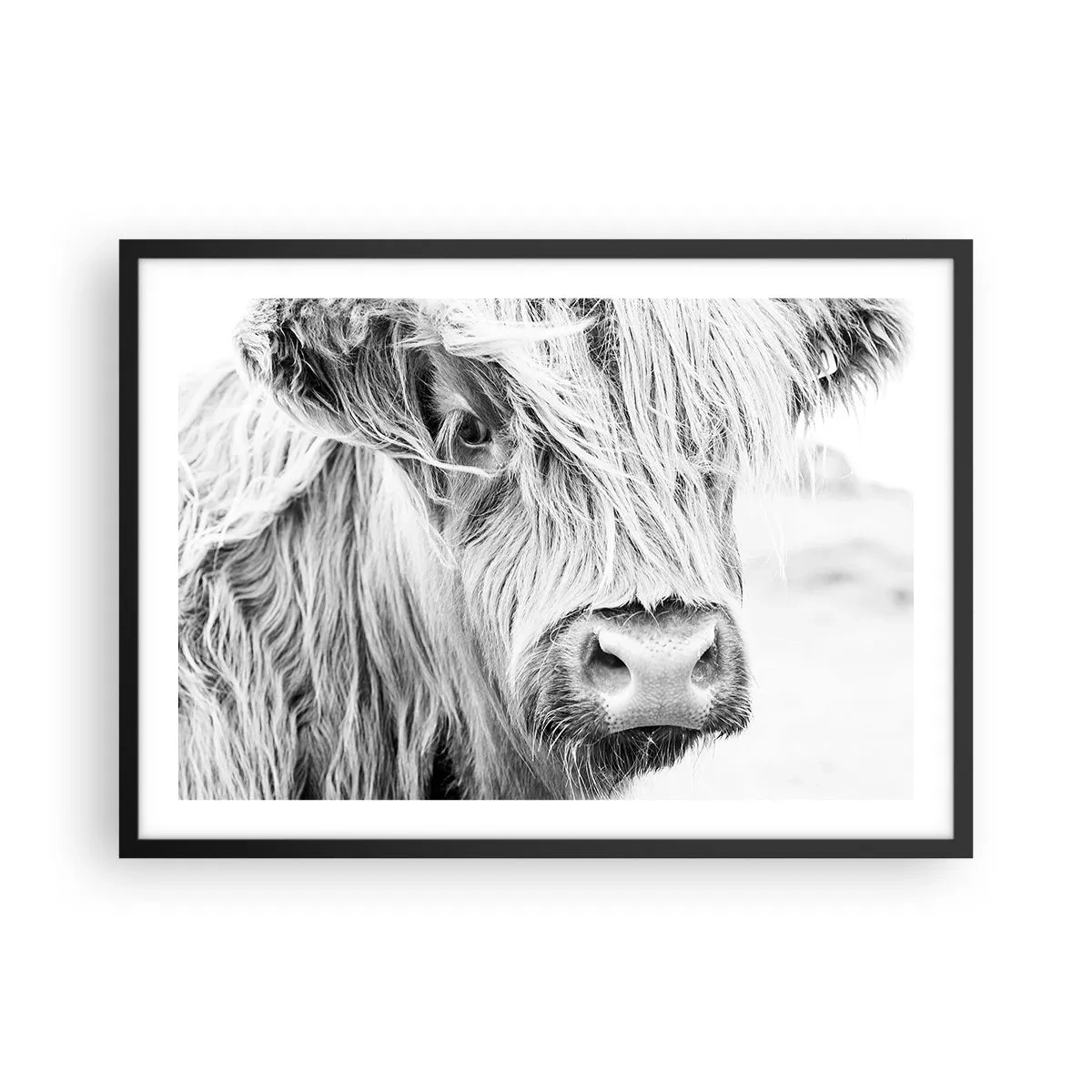 Poster in black frame - Scottish Wilderness - 70x50 cm