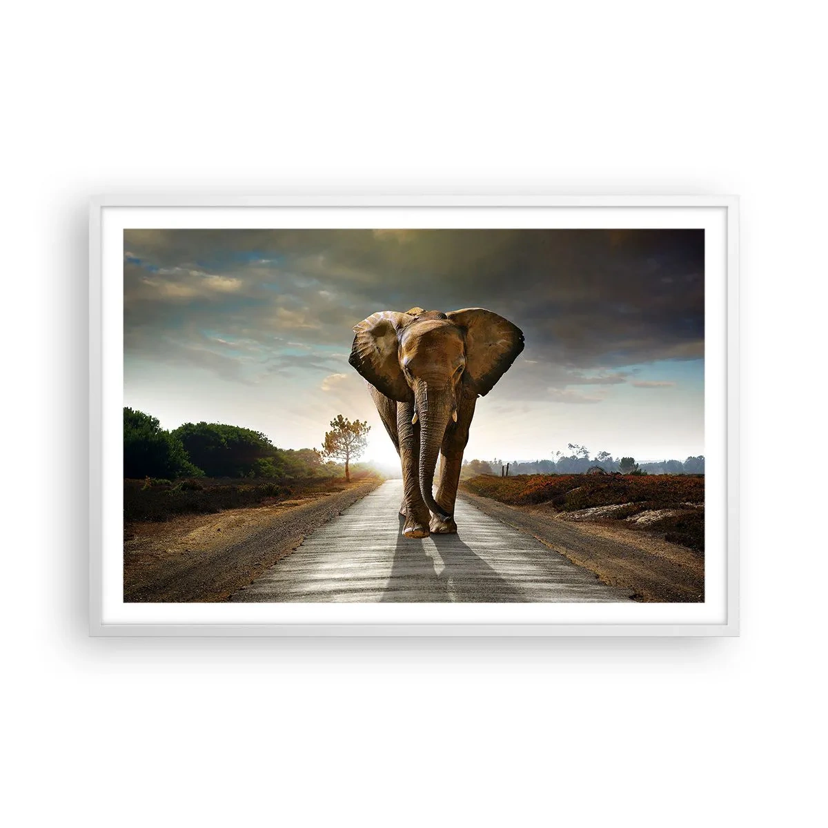 Poster in white frmae - Not in a China Shop - 91x61 cm