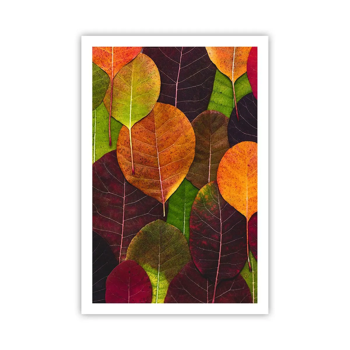 Poster - Autumn Mosaics - 61x91 cm