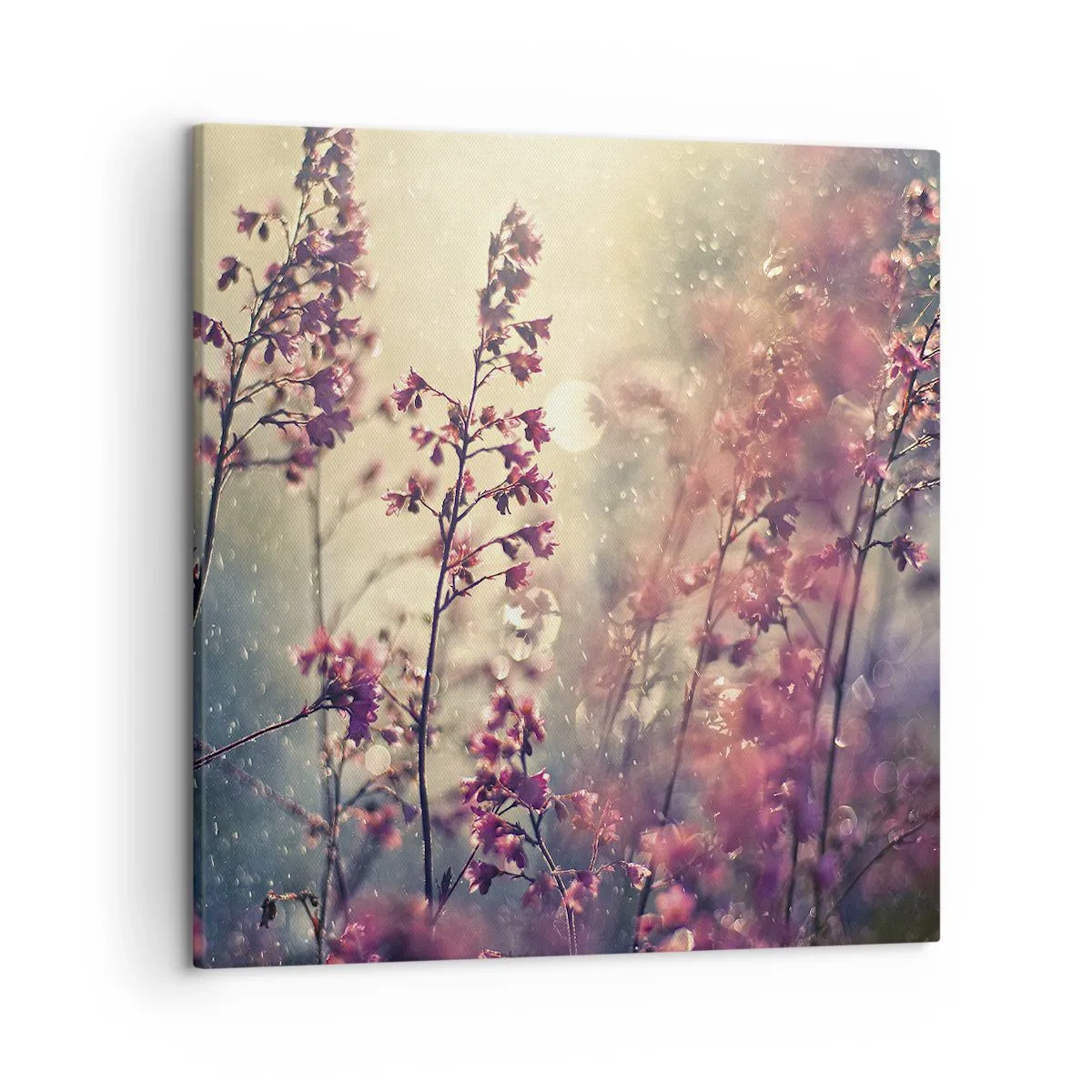 Canvas picture - Secret Garden - 50x50 cm