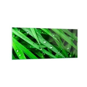 Glass picture - Go Grren - 120x50 cm