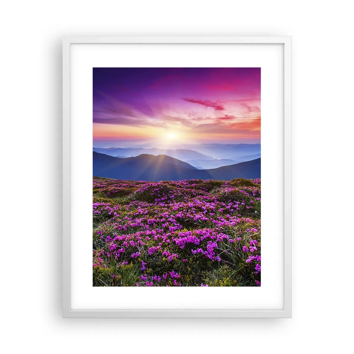 Poster in white frmae - Smells Strongly of Herbs - 40x50 cm