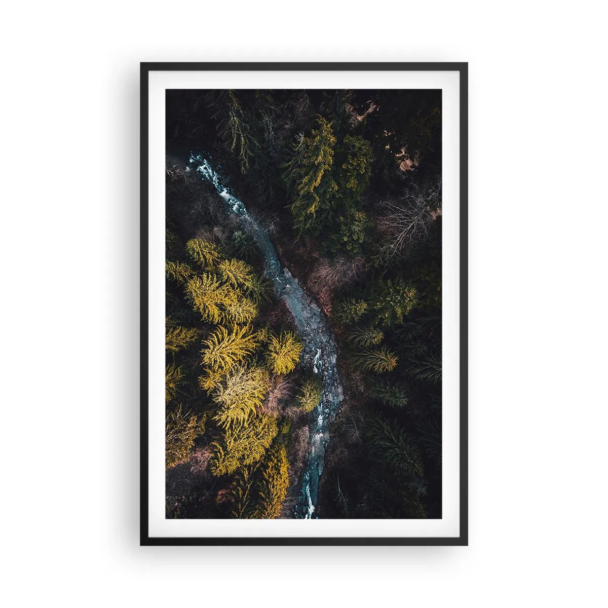 Poster in black frame - Fast and Faster - 61x91 cm