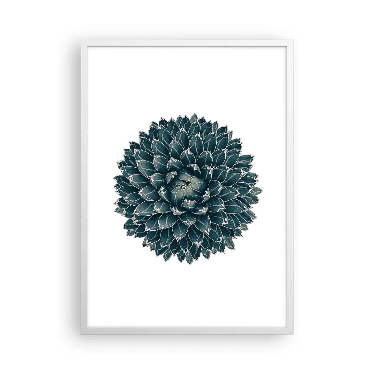 Poster in white frmae - Star of the Desert - 50x70 cm