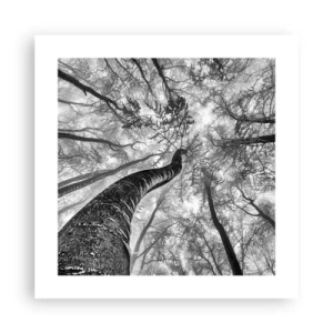 Poster - Race for the Light - 40x40 cm