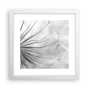 Poster in white frmae - Dandelion Kites - 30x30 cm