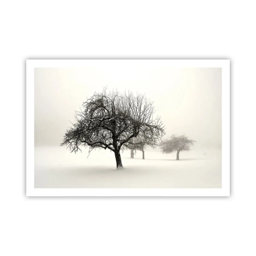 Poster - Winter Dream - 91x61 cm
