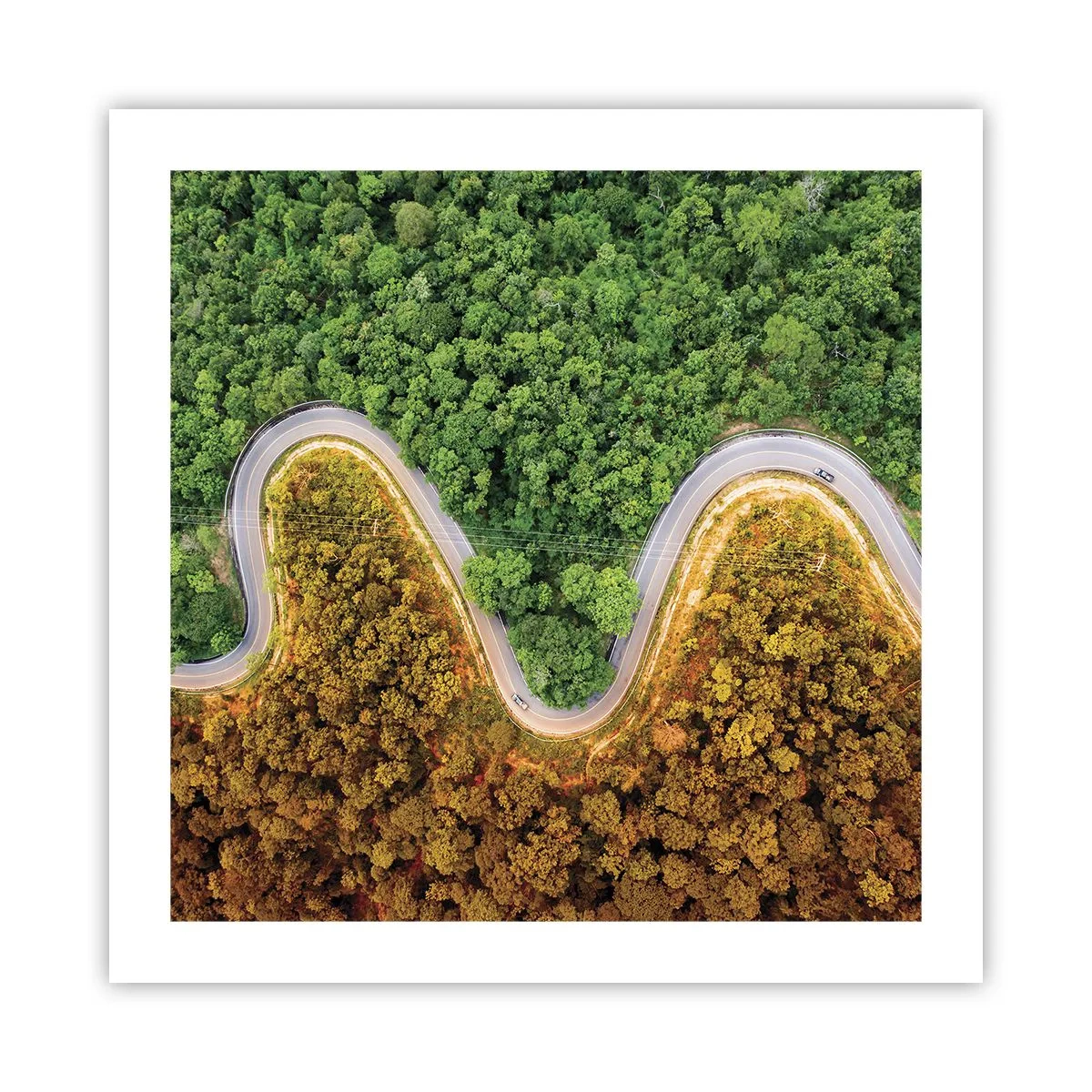 Poster - Borders and Breakthroughs - 50x50 cm
