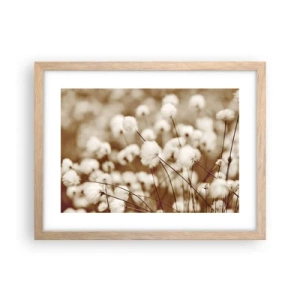 Poster in light oak frame - Fluffy field - 40x30 cm