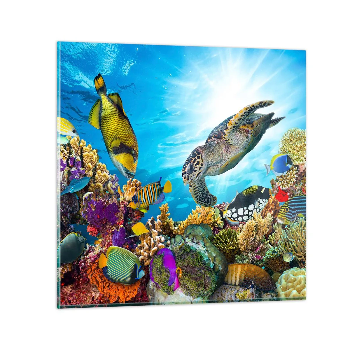 Glass picture - Coral Promenade - 40x40 cm