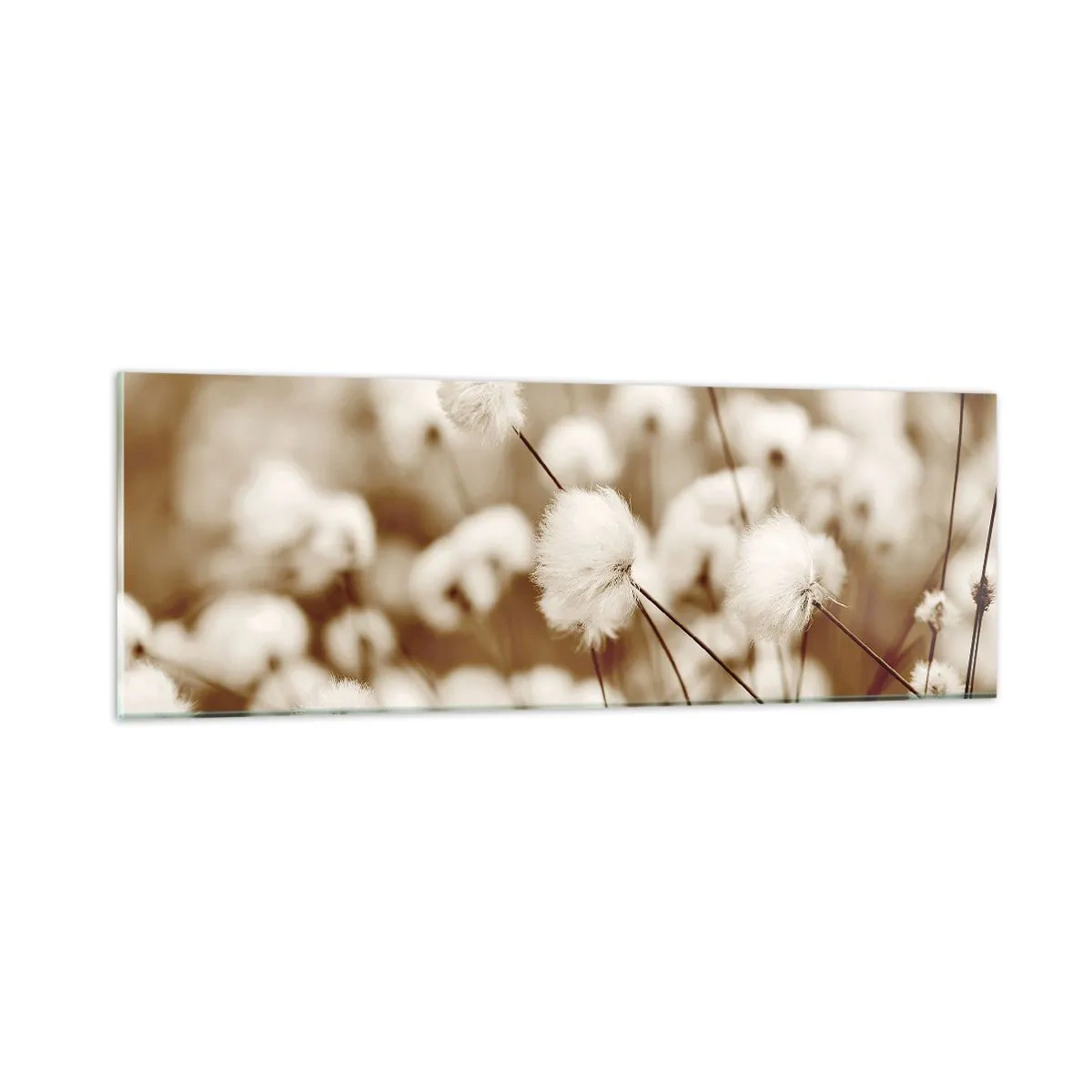 Glass picture - Fluffy field - 90x30 cm