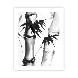 Poster - Close-up to the Orient - 40x50 cm