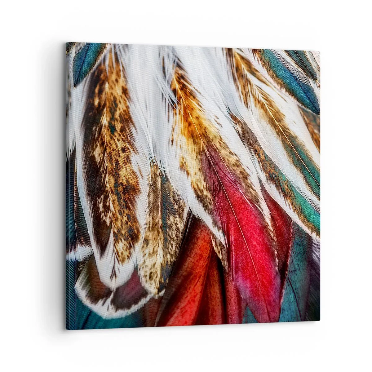Canvas picture - Secrets of Flight - 50x50 cm
