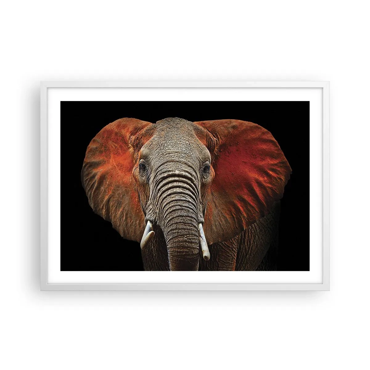 Poster in white frmae - I am Wild, and You? - 70x50 cm