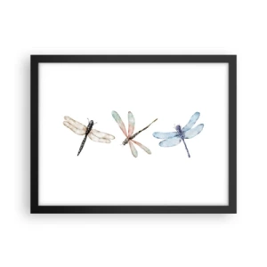 Poster in black frame - Lightness of Dragonflies  - 40x30 cm