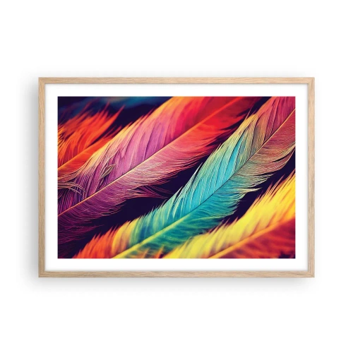 Poster in light oak frame - Feathered Rainbow - 70x50 cm