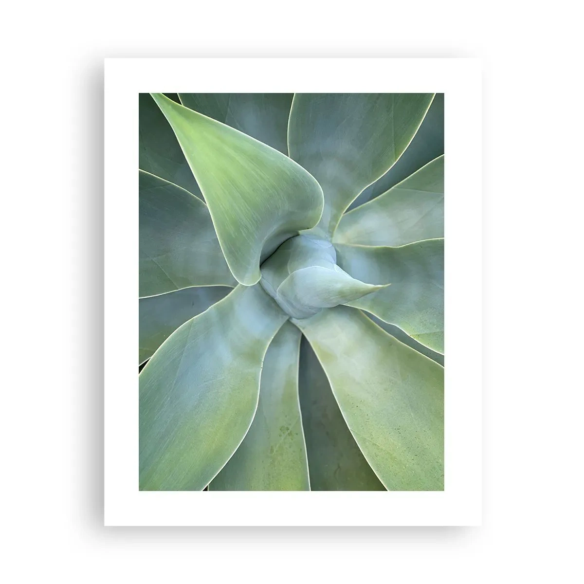 Poster - Birth of Green - 40x50 cm