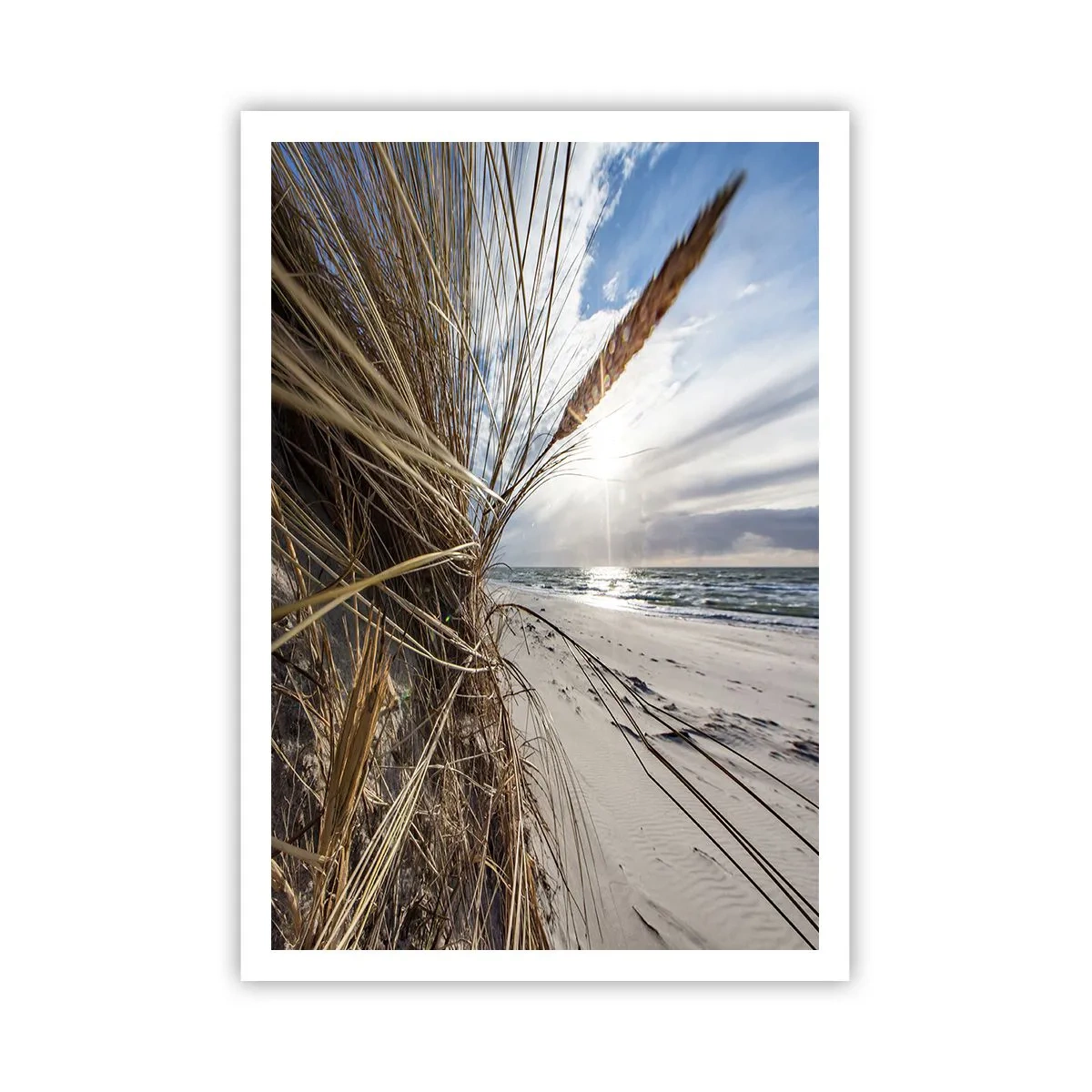 Poster - Enounter of the Elements - 70x100 cm
