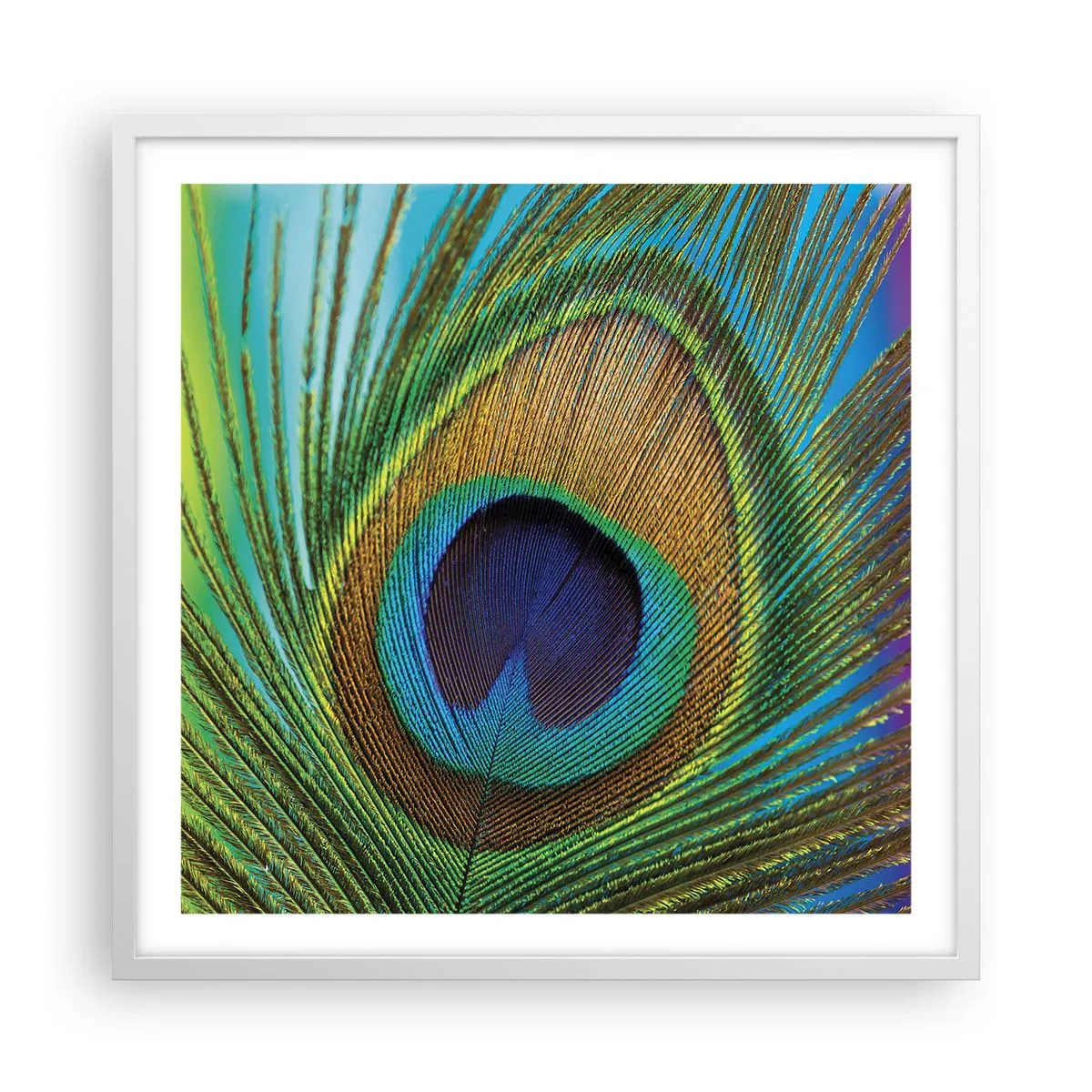 Poster in white frmae - Eye to Eye - 60x60 cm