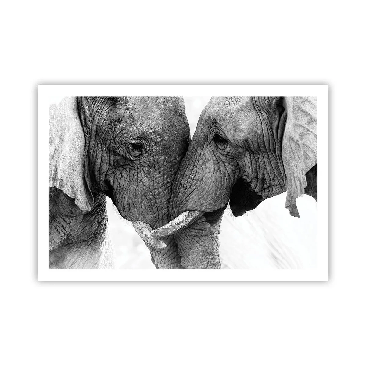 Poster - Hearty Confession - 91x61 cm