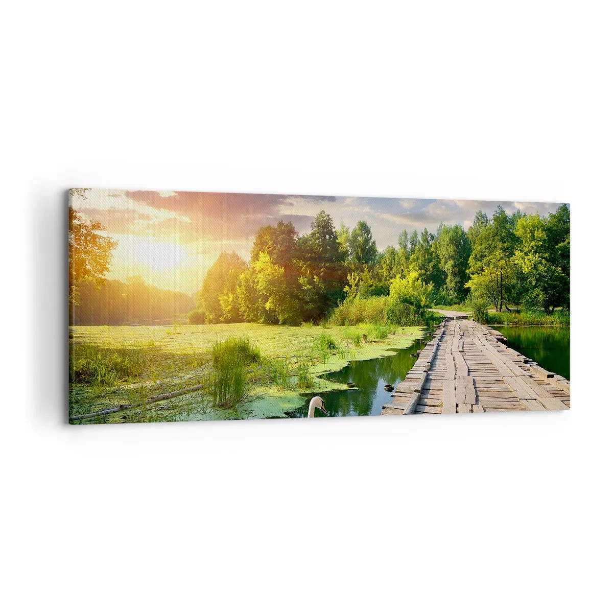Canvas picture - Summer Everywhere - 120x50 cm