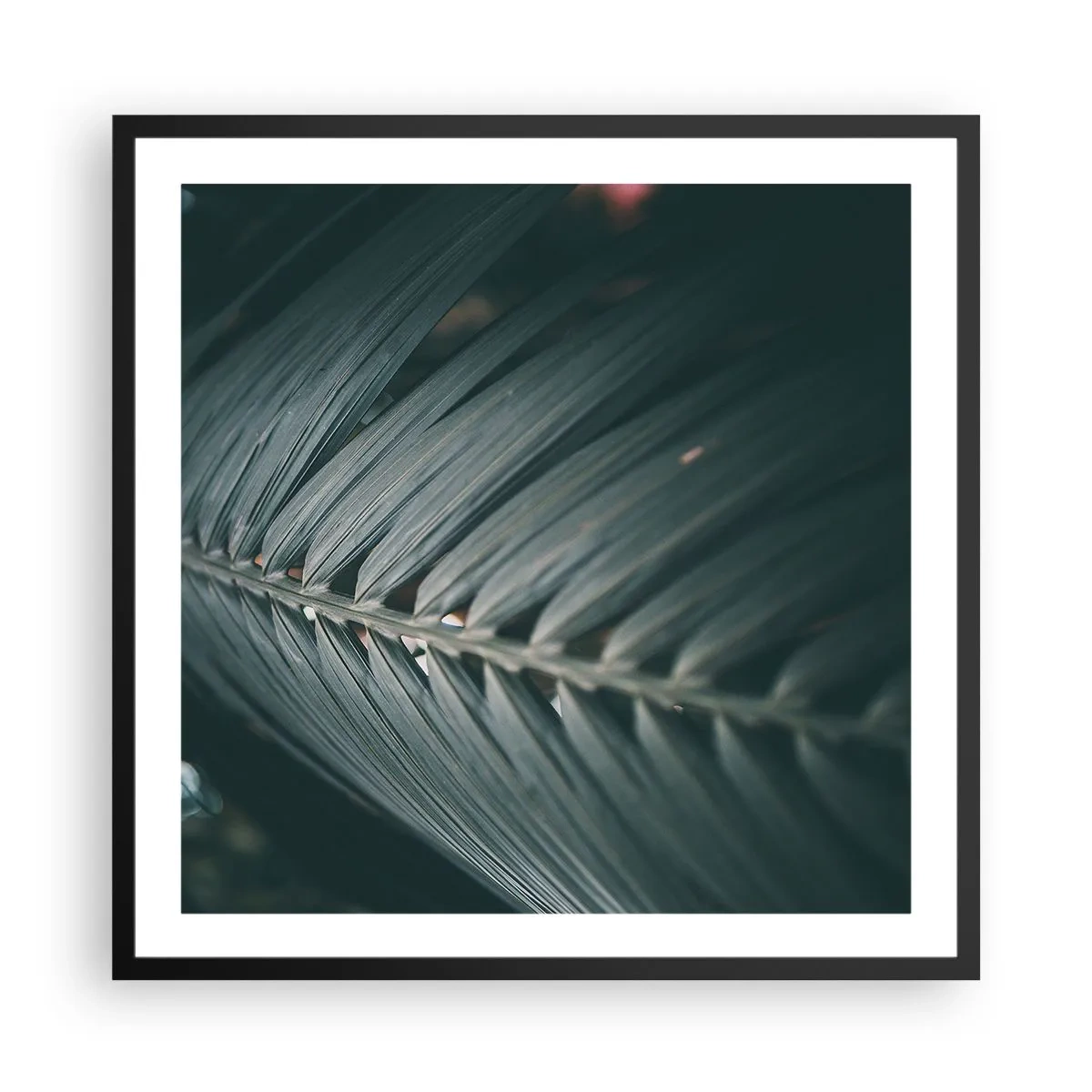Poster in black frame - Precision of Nature - 60x60 cm