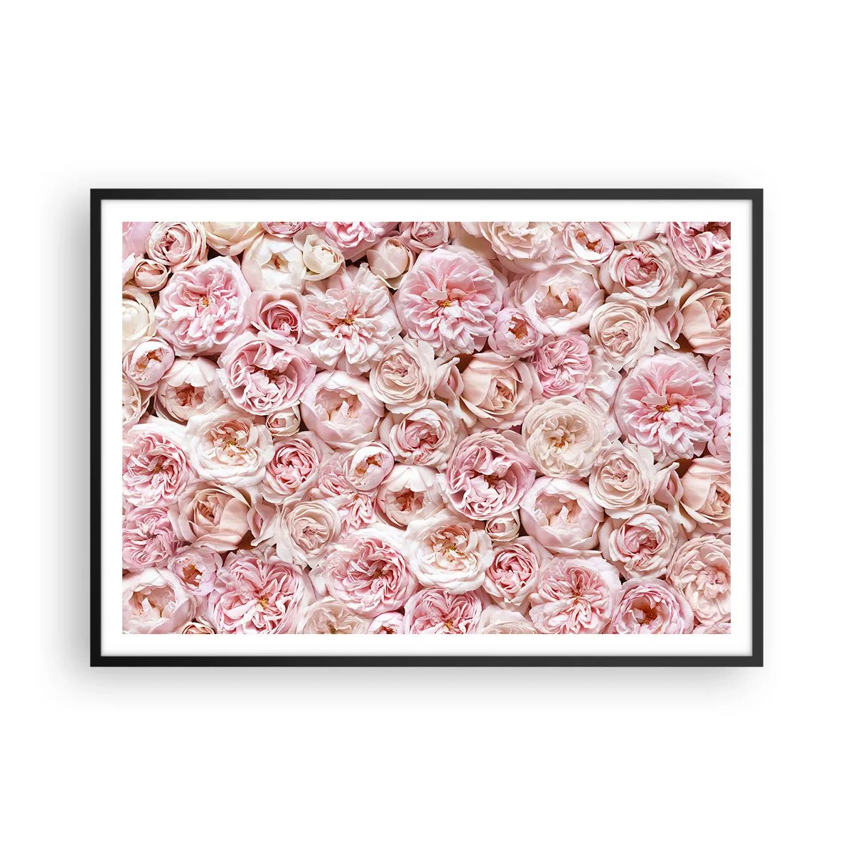 Poster in black frame - Decked with Roses - 100x70 cm