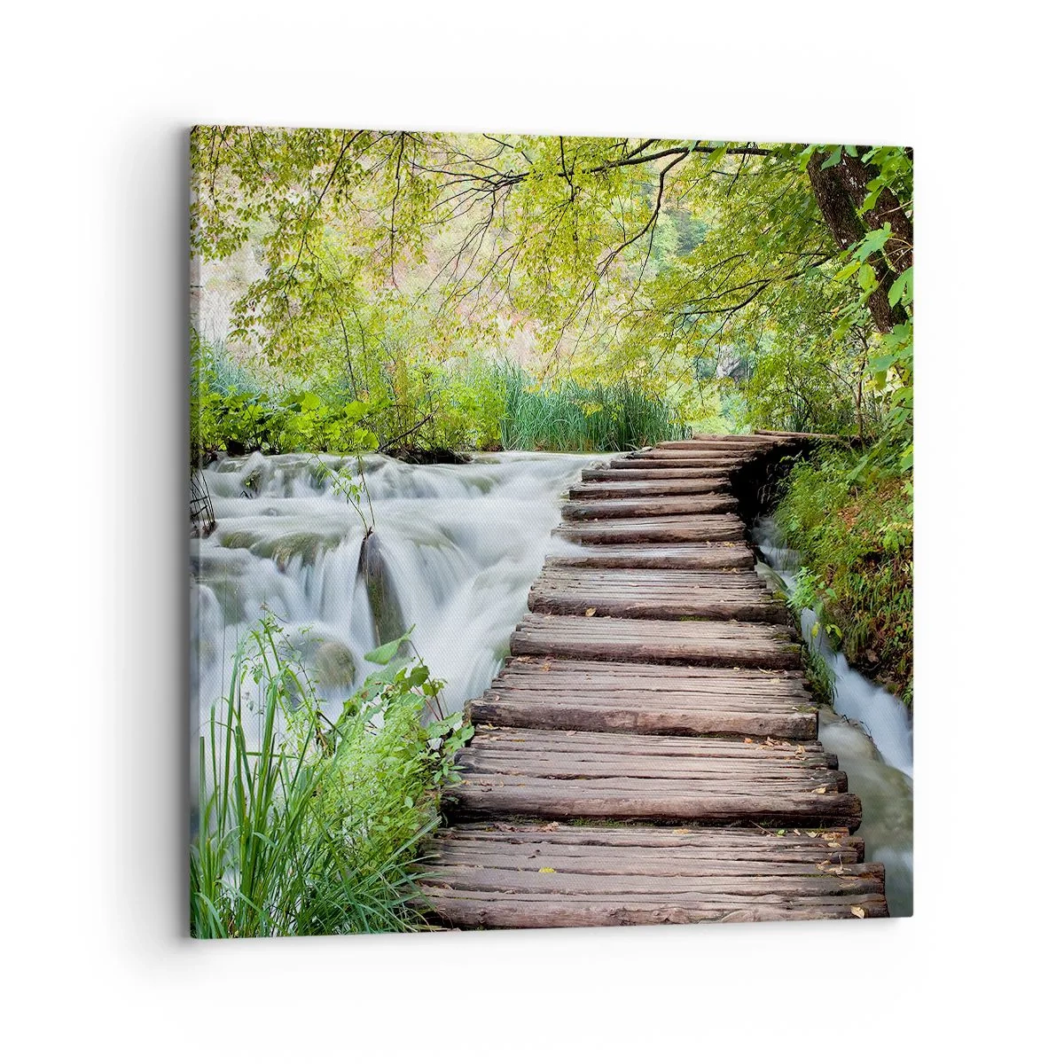 Canvas picture - Not Such Quiet Water - 70x70 cm