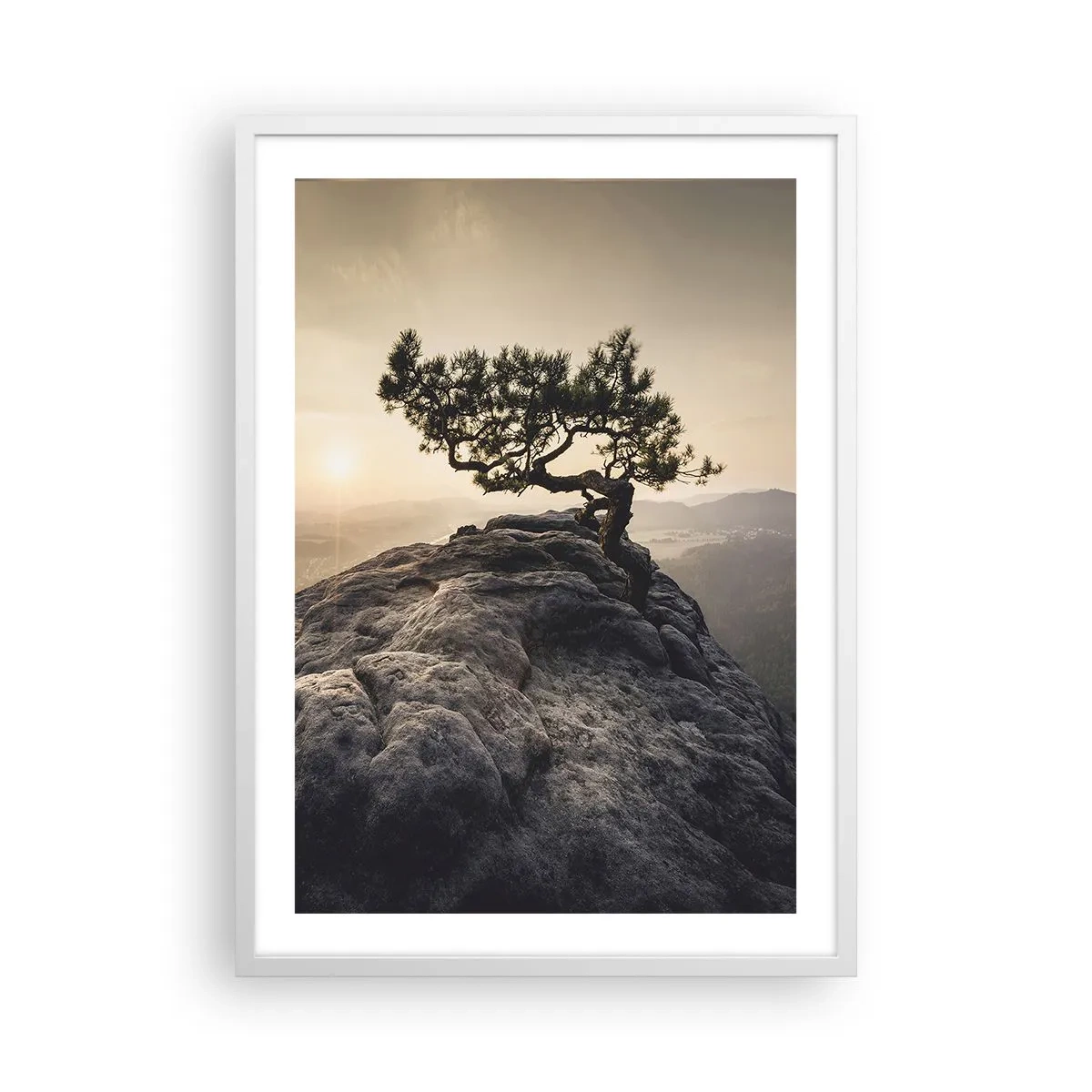 Poster in white frmae - Life Always Wins - 50x70 cm