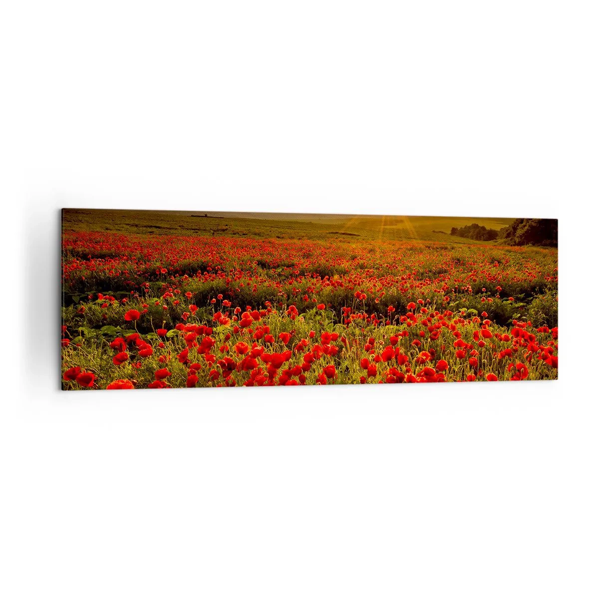 Canvas picture - In the Meadow, among Flood of Flowers - 160x50 cm