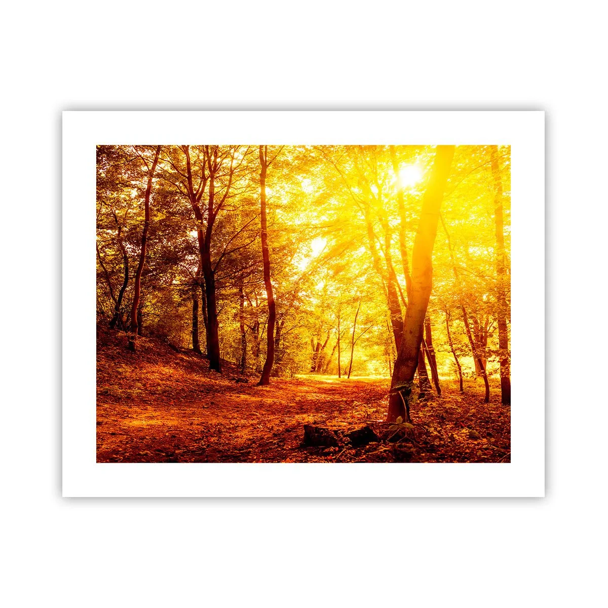 Poster - Towards Golden Plain - 50x40 cm
