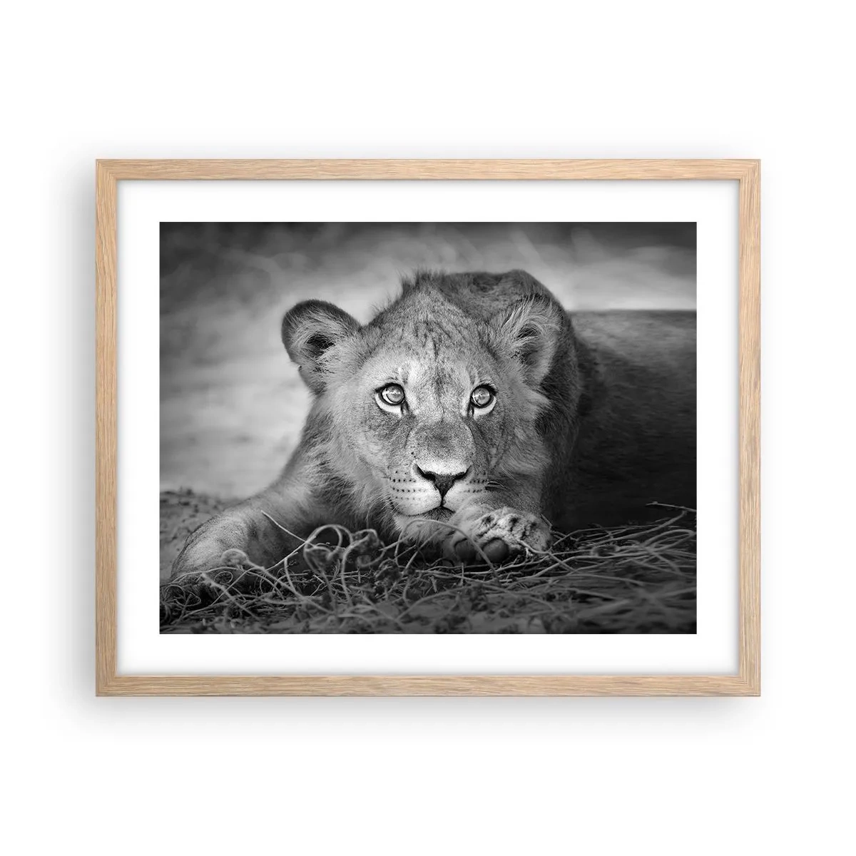 Poster in light oak frame - Royal Puppy - 50x40 cm