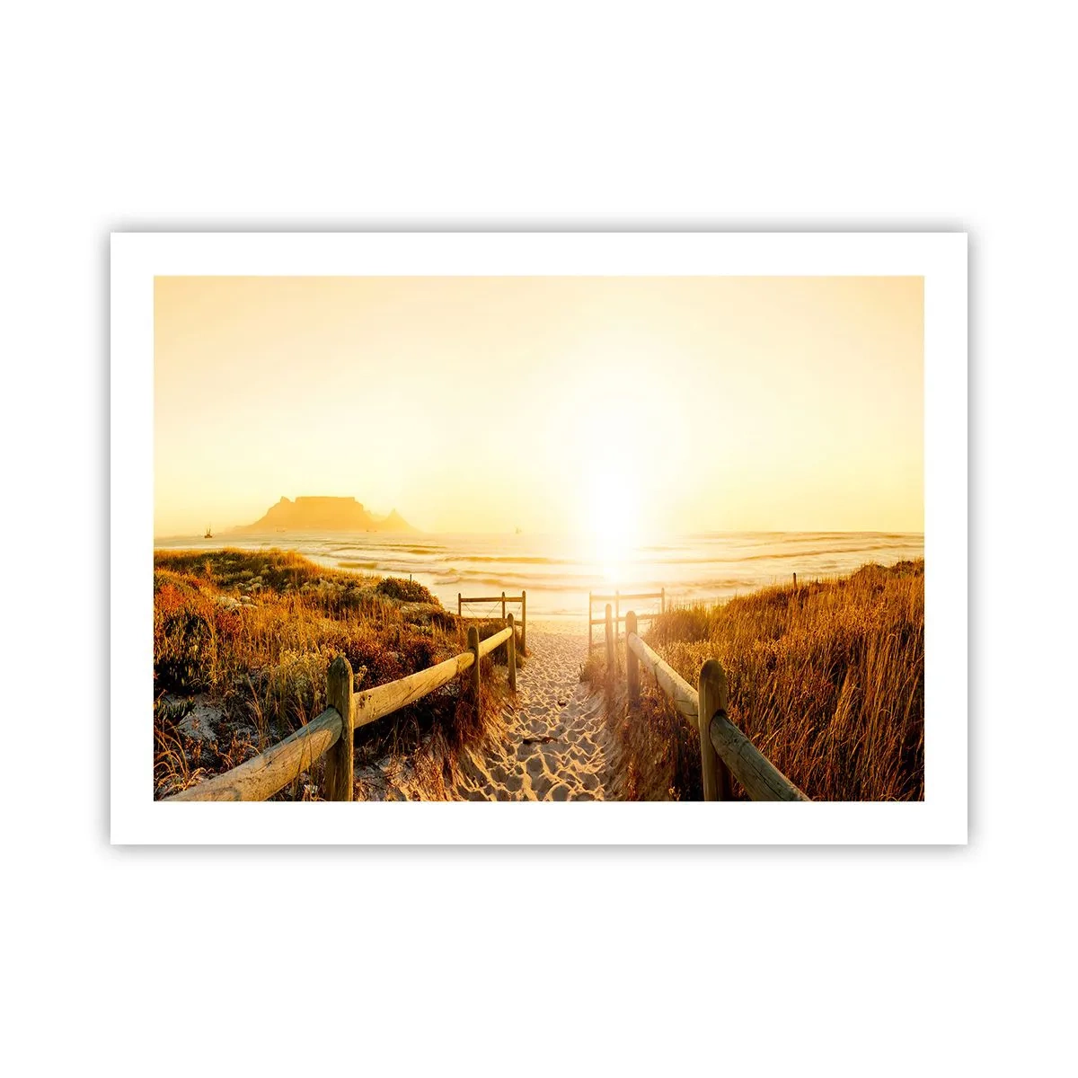 Poster - Through the Dune, Towards the Sun - 70x50 cm