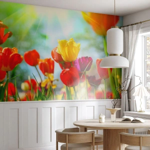Photo Wallpaper Standard Eco - All Colours of the Sun - Tulips, Flowers, Meadow - 500x350 cm