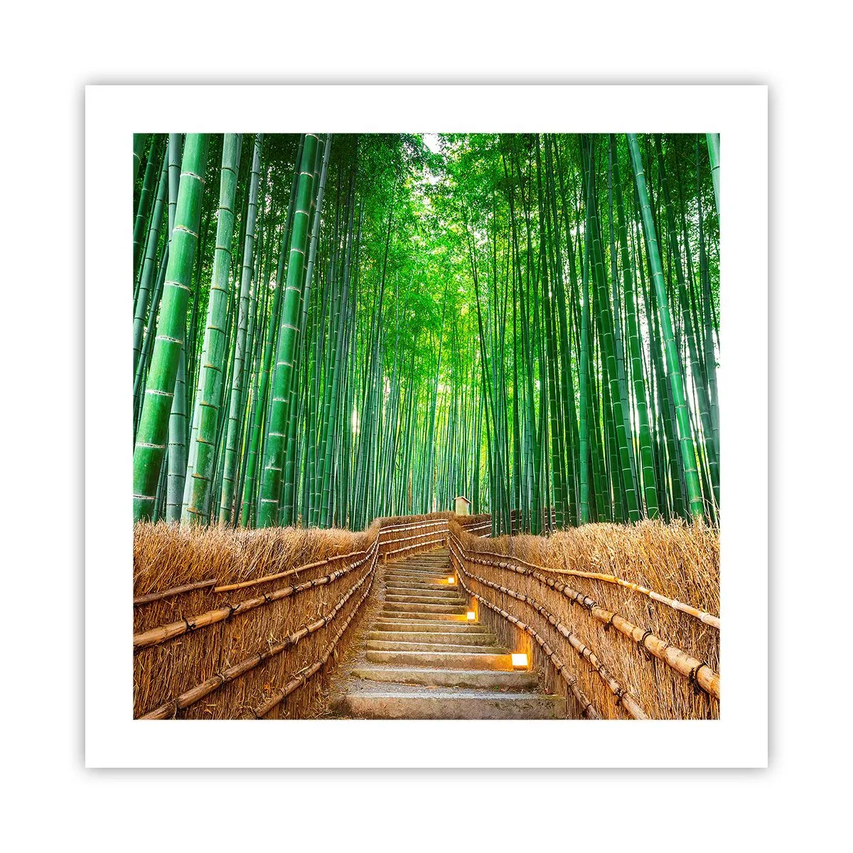 Poster - Essence of Asian Nature - 50x50 cm