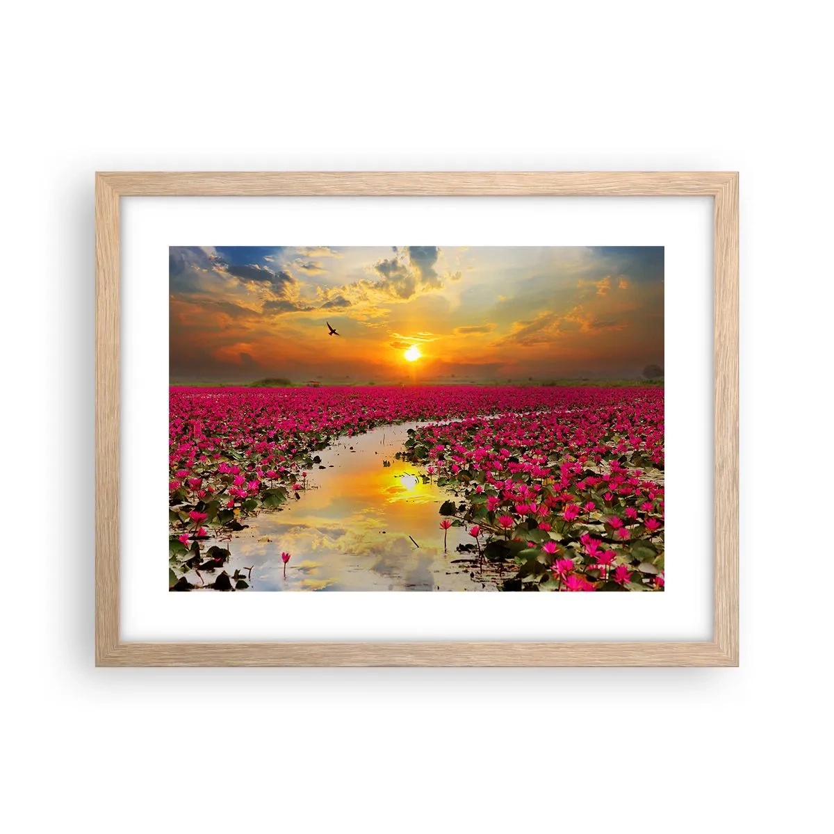 Poster in light oak frame - Secret Life of a Lake - 40x30 cm