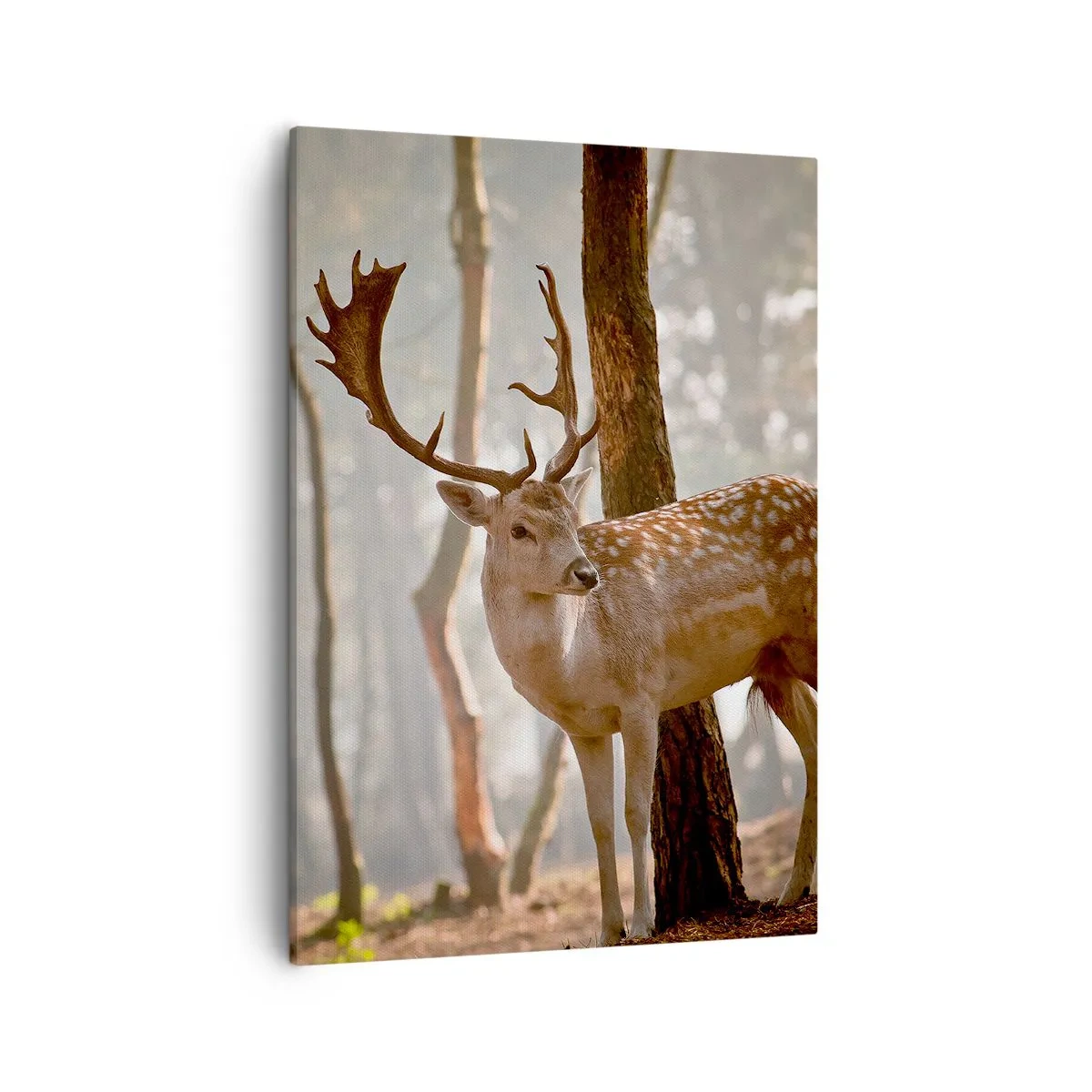 Canvas picture - Light of Youth - 50x70 cm