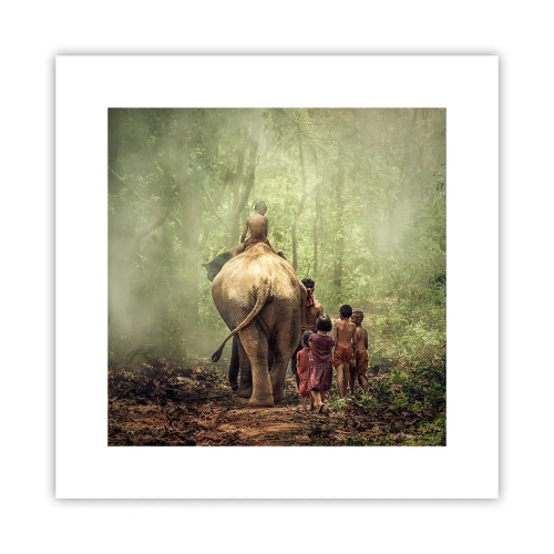 Poster - New Jungle Book - 30x30 cm