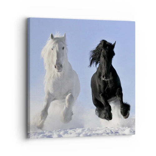 Canvas picture - Black and White Gallop - 30x30 cm