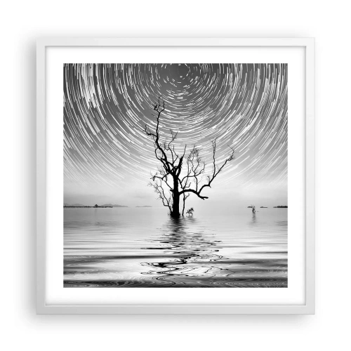 Poster in white frmae - Symphony of Nature - 50x50 cm
