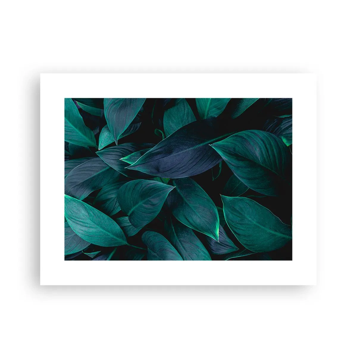 Poster - The Green Itself - 40x30 cm