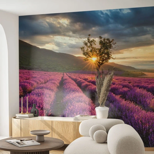 Photo Wallpaper Premium Sand - Lilac Coloured Aroma - Landscape, Lavender, Provence - 150x105 cm