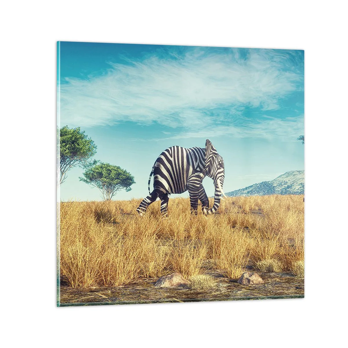 Glass picture - Greyness Is Not In Fashion - 50x50 cm