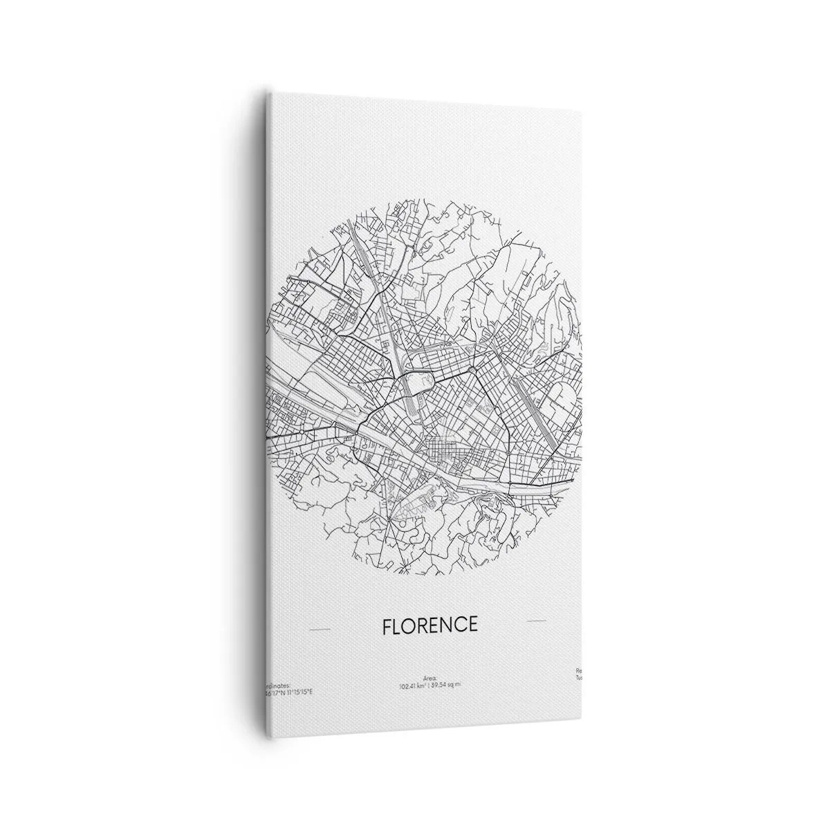 Canvas picture - Anatomy of Florence - 55x100 cm