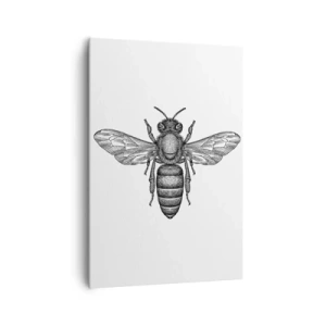 Canvas picture - Insect Portrait - 70x100 cm