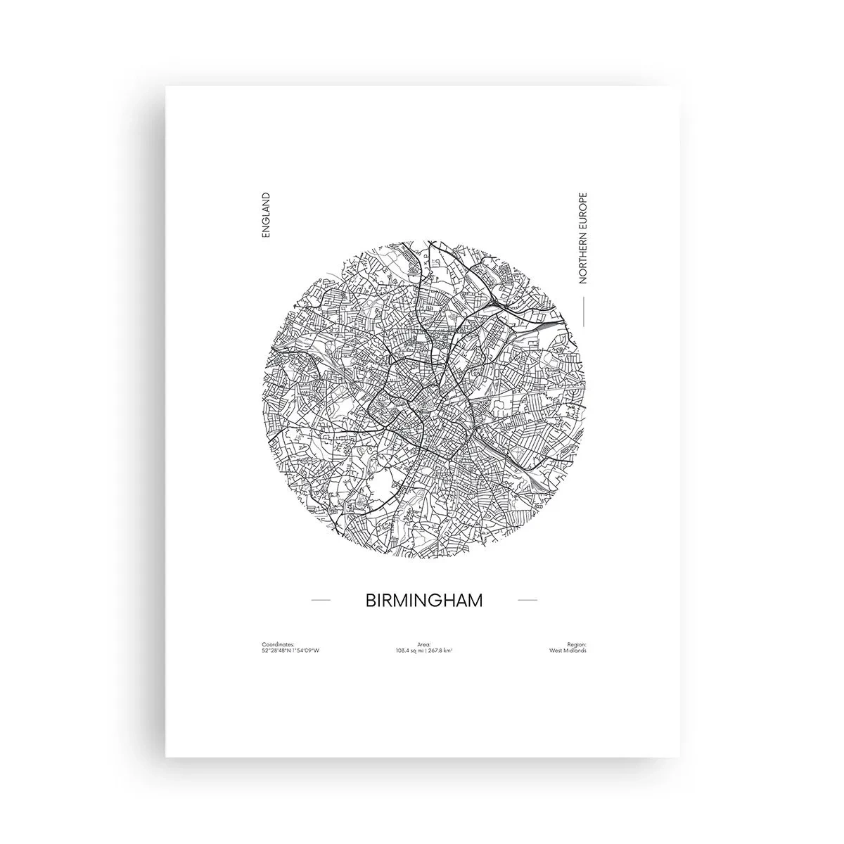 Poster - Anatomy of Birmingham - 30x40 cm