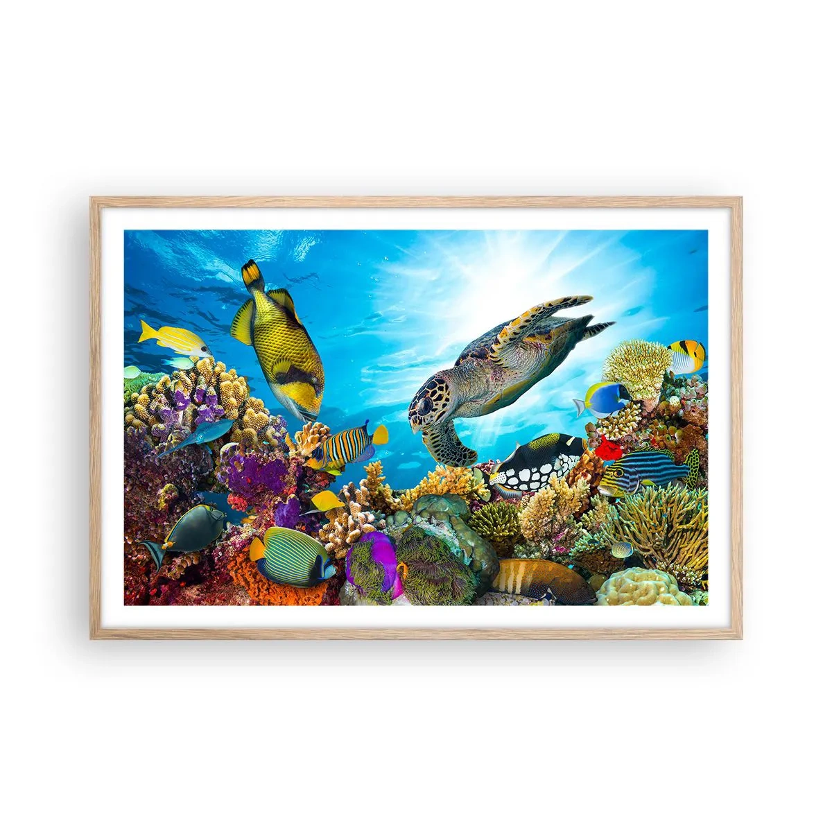 Poster in light oak frame - Coral Promenade - 91x61 cm