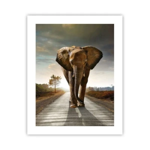 Poster - Not in a China Shop - 40x50 cm